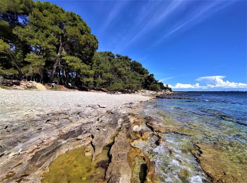 San Valentino Otel Bašanija Dış mekan fotoğraf